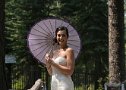 Allyson - Brad 0162
